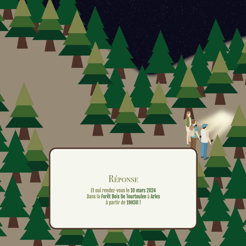 Carrousel Escape Game 5